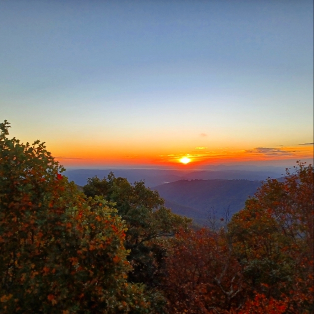 Meet your Posher, Lynn